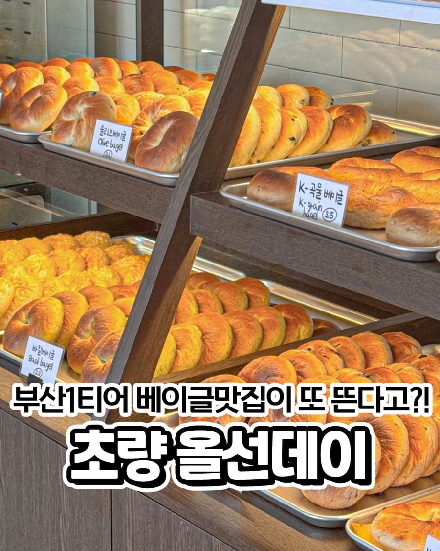 올선데이 초량점 빵집
