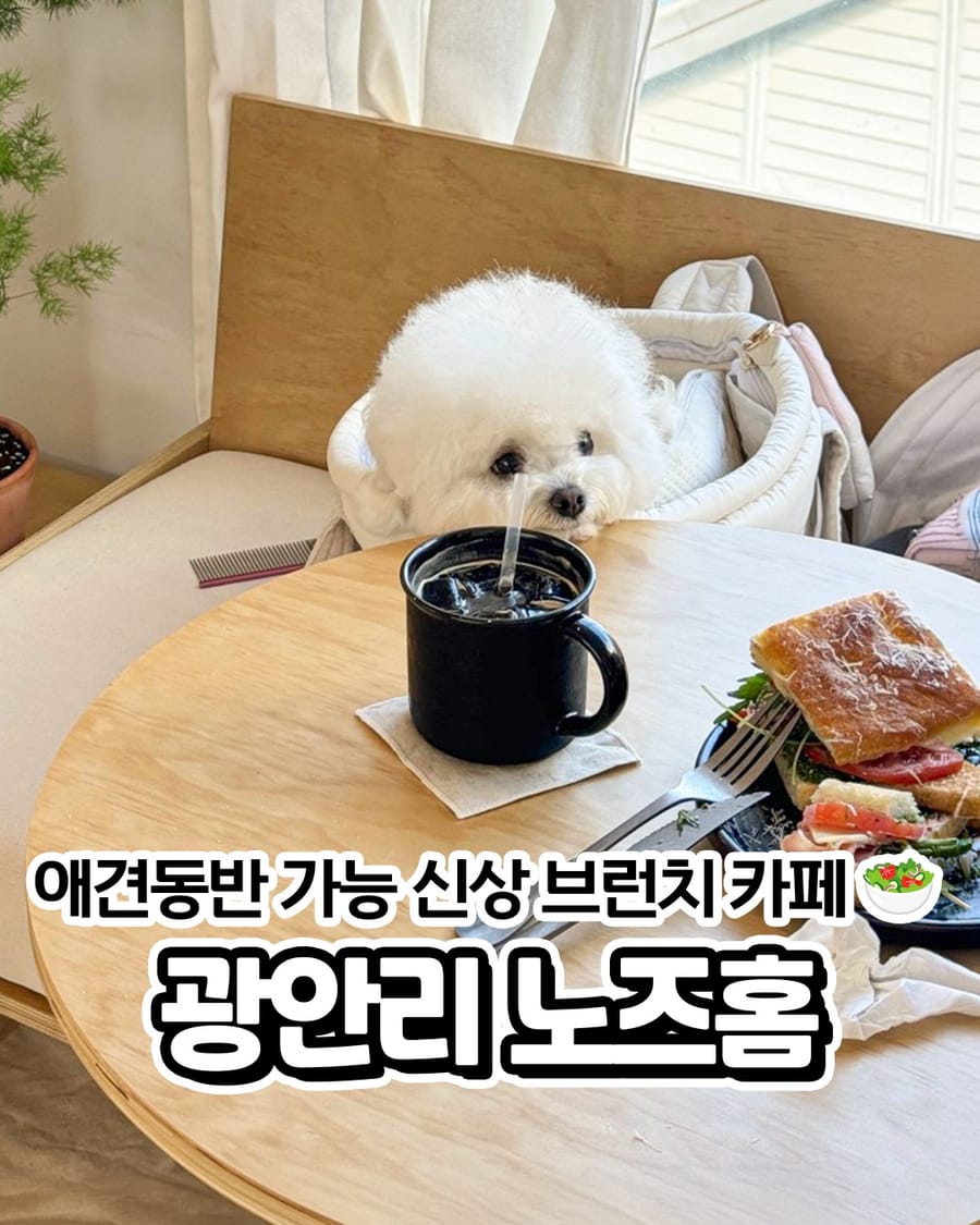 노즈홈 양식