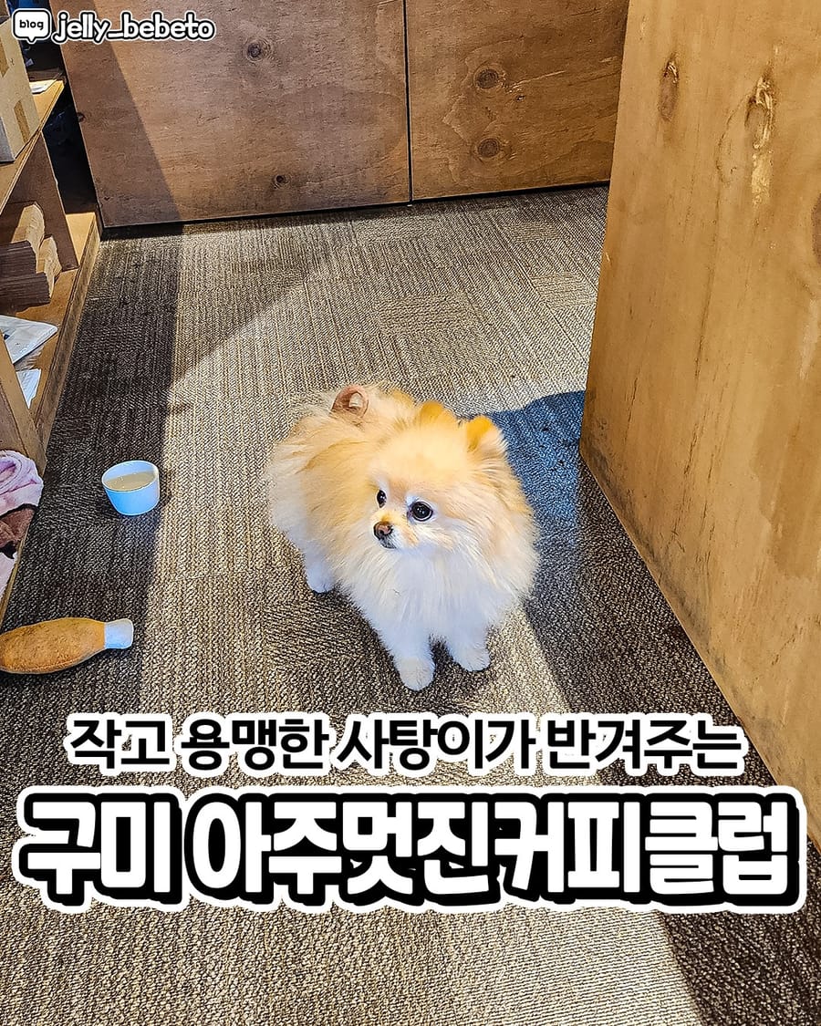 아주멋진커피클럽 카페/디저트