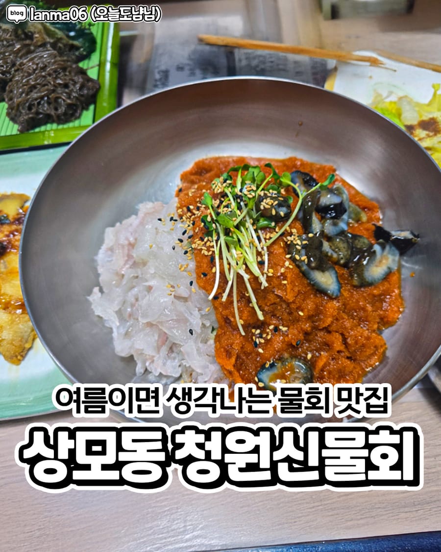 청원신물회 본점 회/해산물