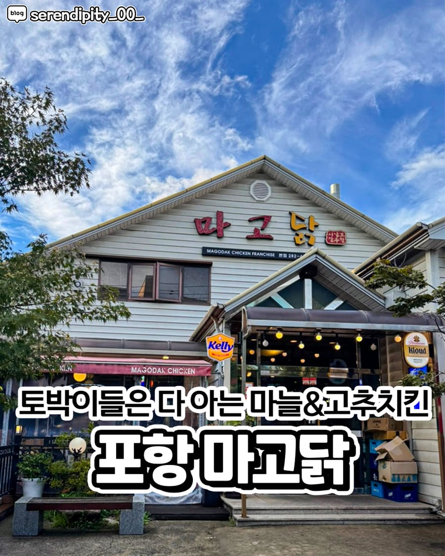 마고닭 포항본점 한식