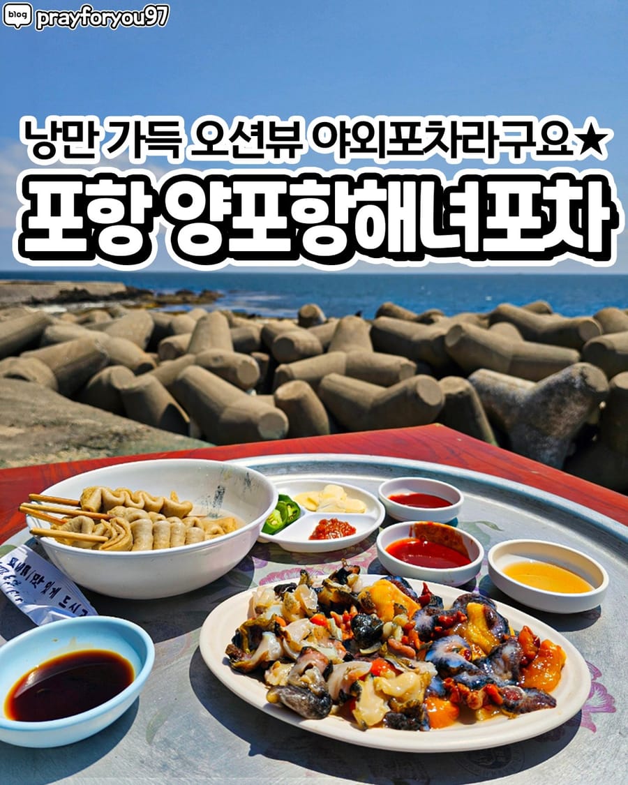 양포항해녀포차 회/해산물