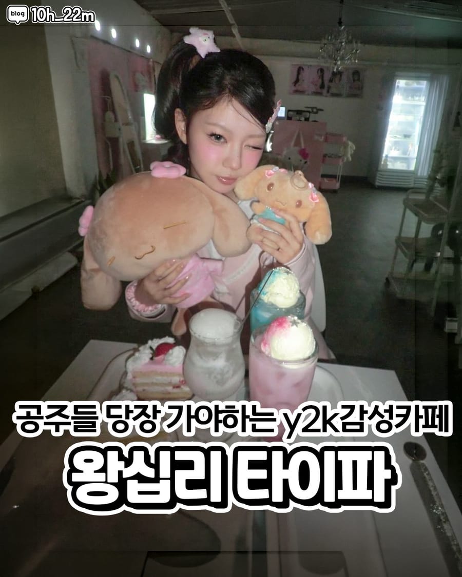 타이파 대표 사진