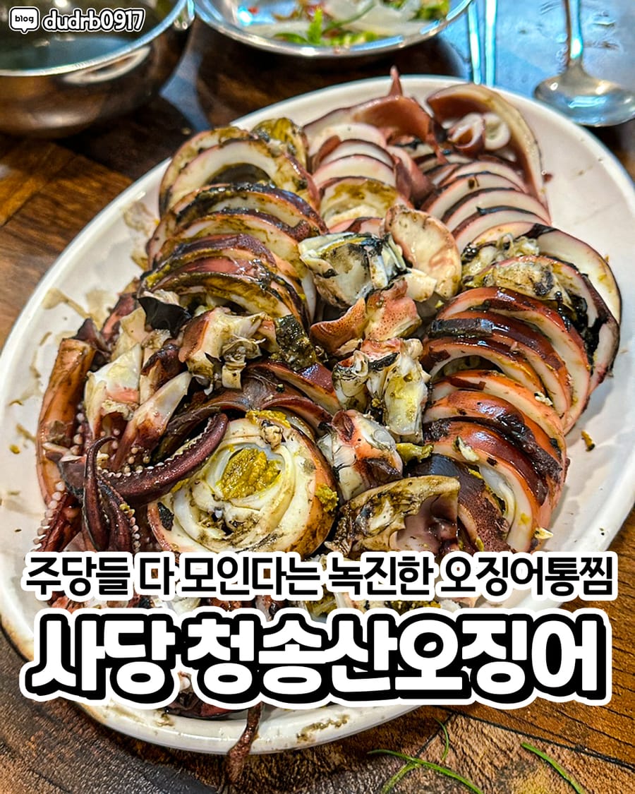 청송산오징어 한식
