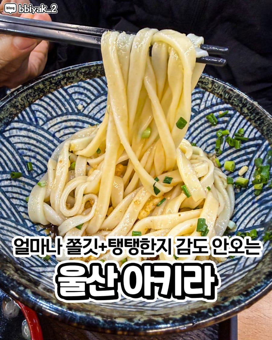아키라 일식