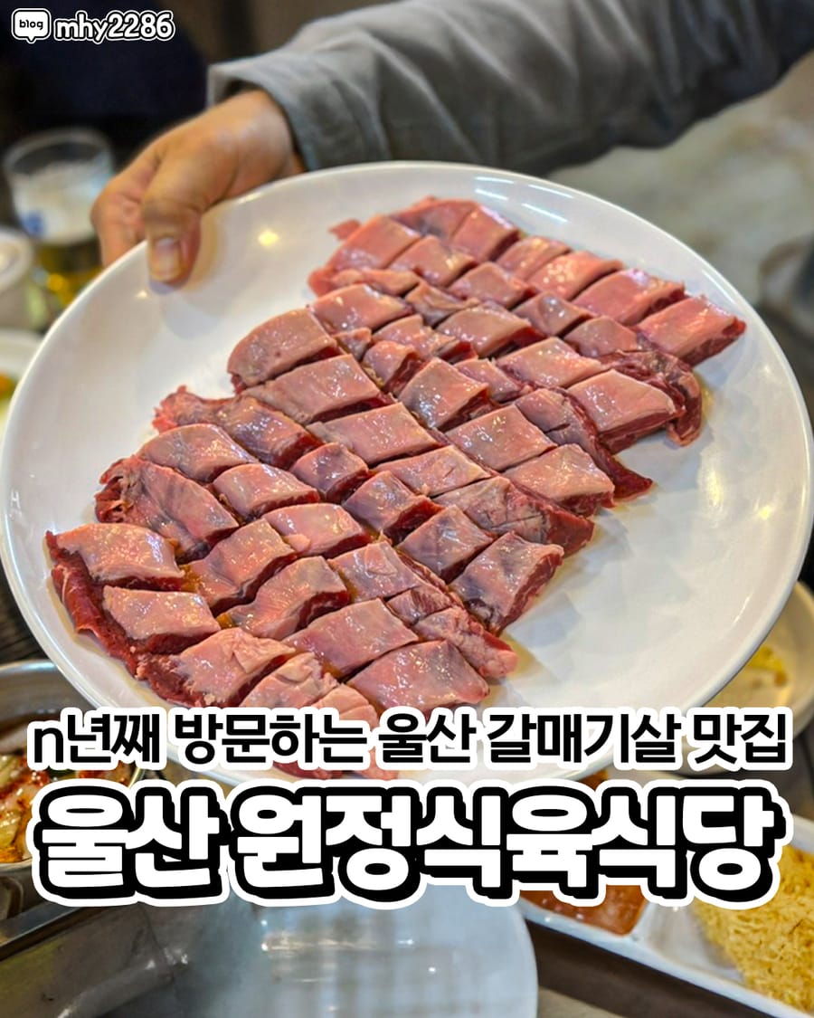 원정식육식당 고기/구이