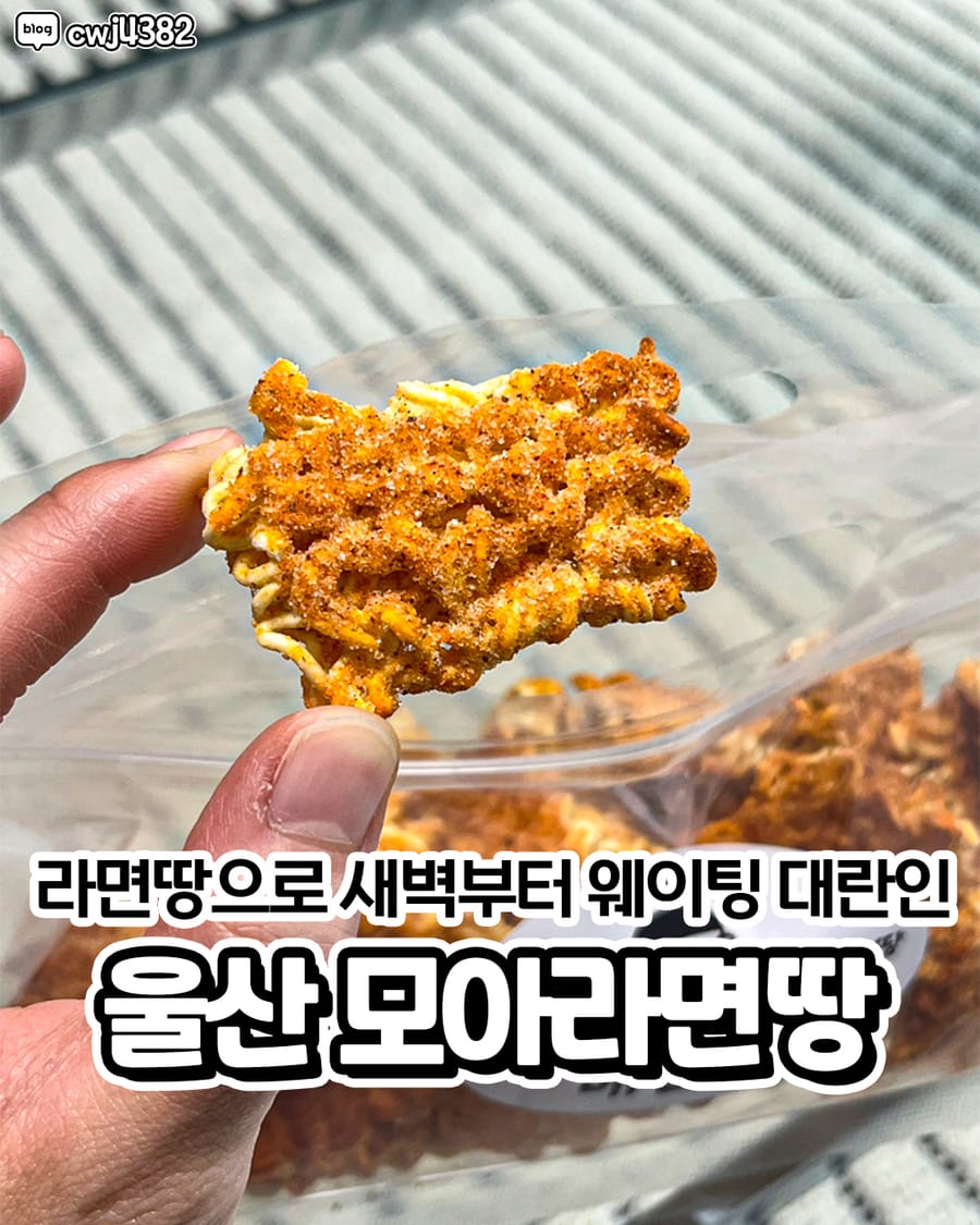 모아땅 분식