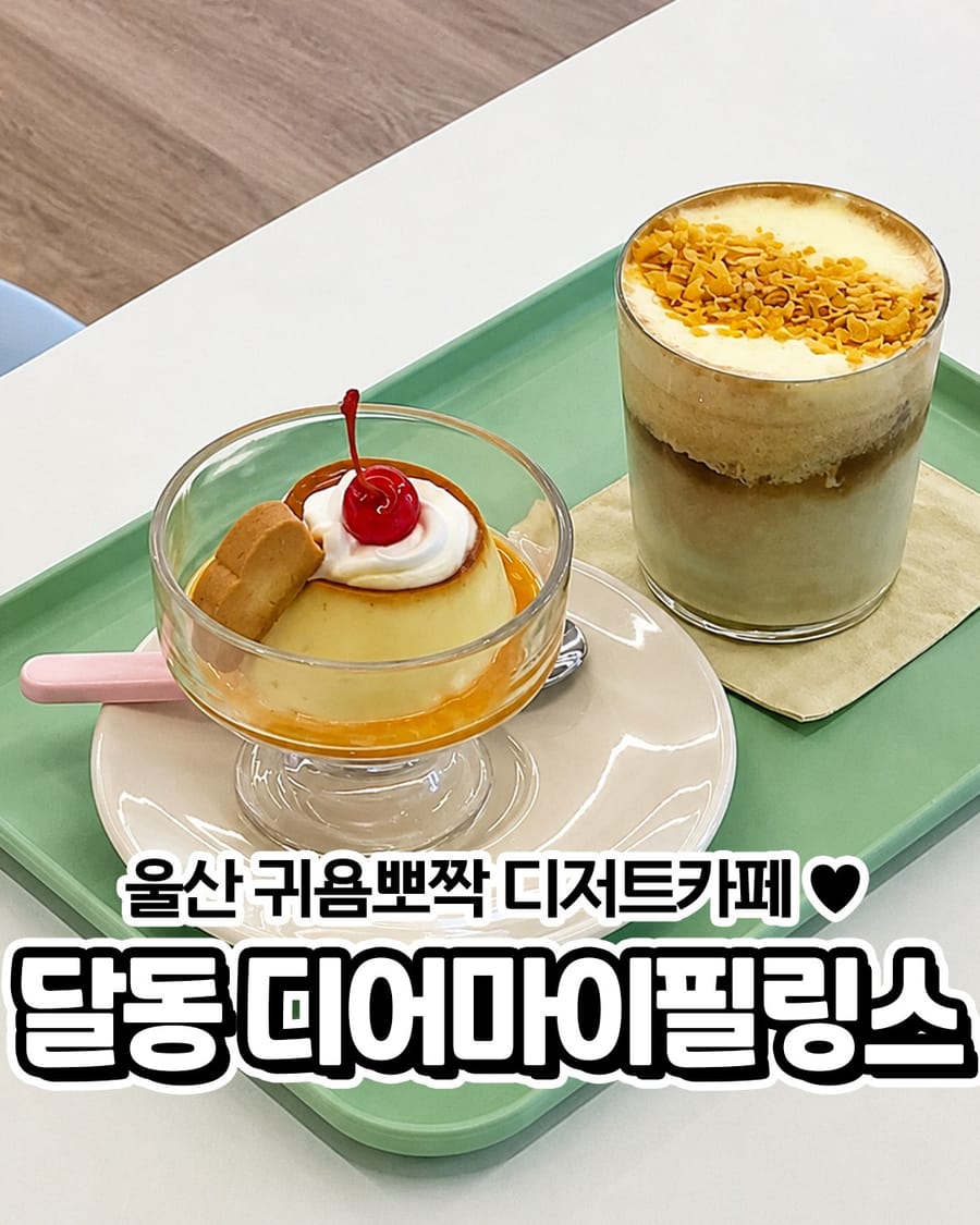 디어마이필링스 카페/디저트