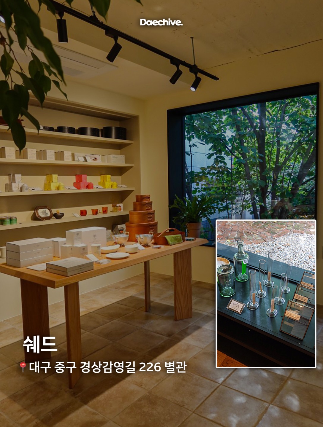 쉐드