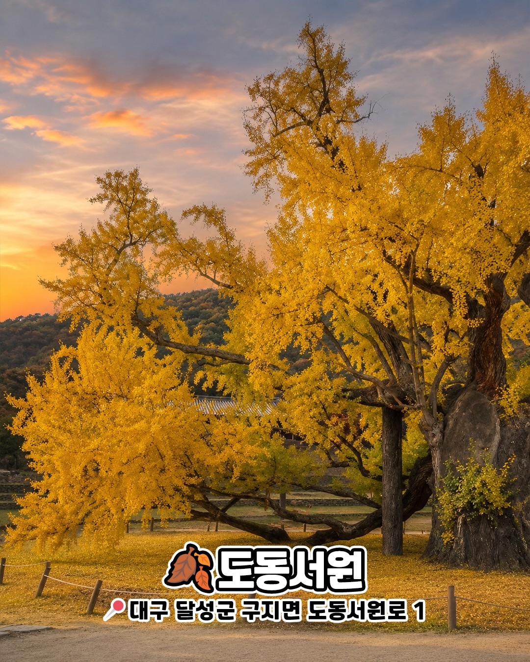 도동서원