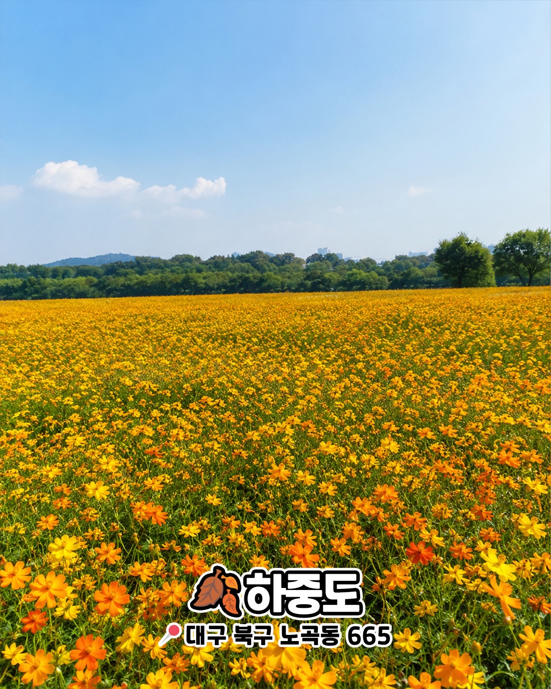 하중도