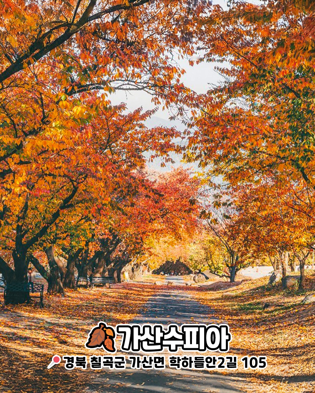 가산수피아