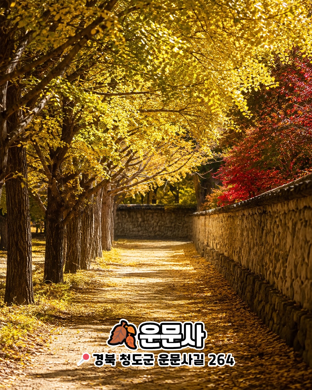 운문사