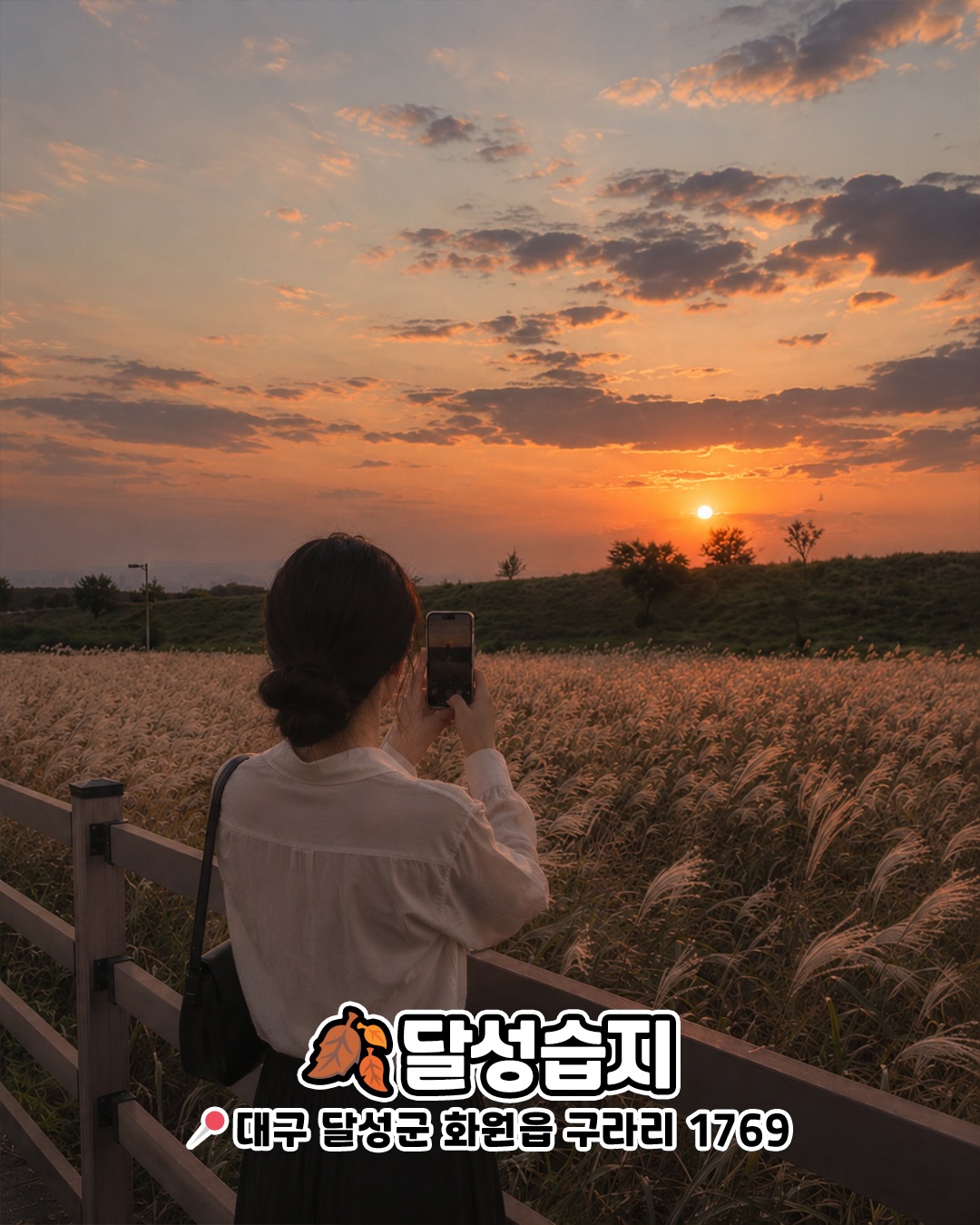 달성습지