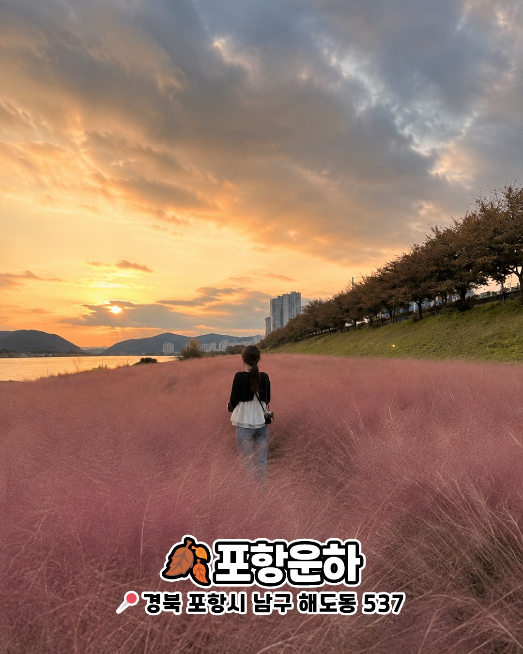 포항운하