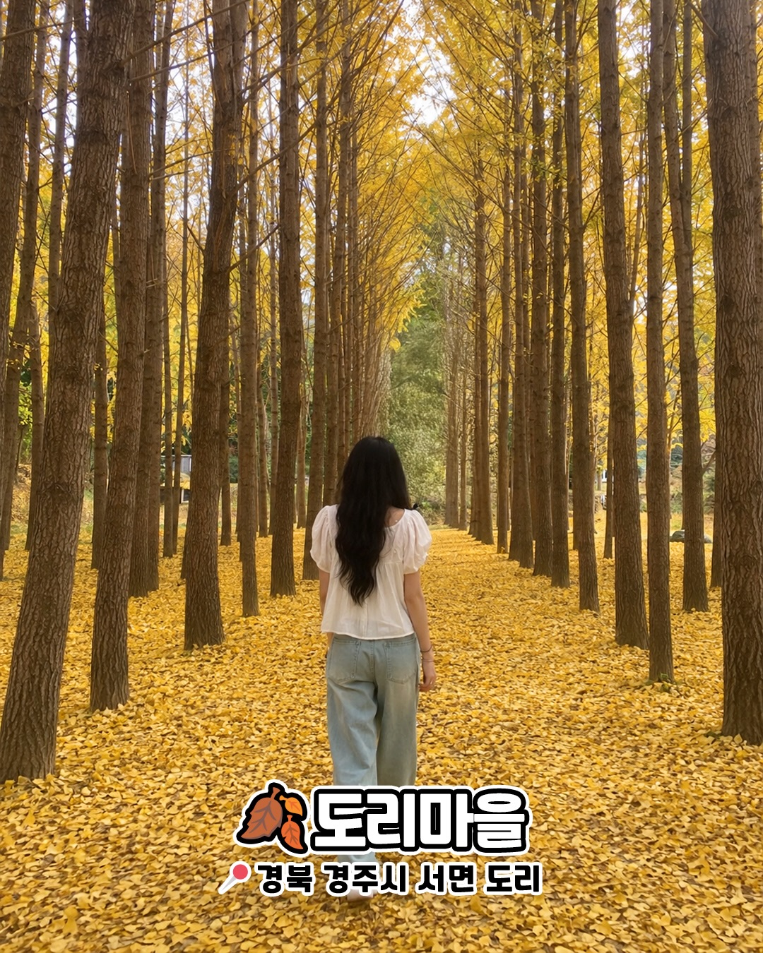 도리마을