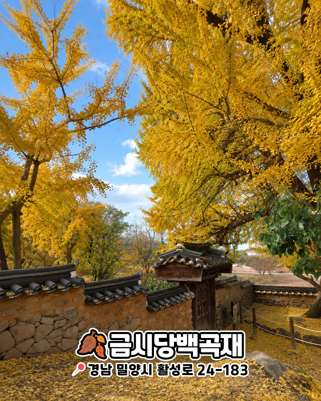 금시당백곡재