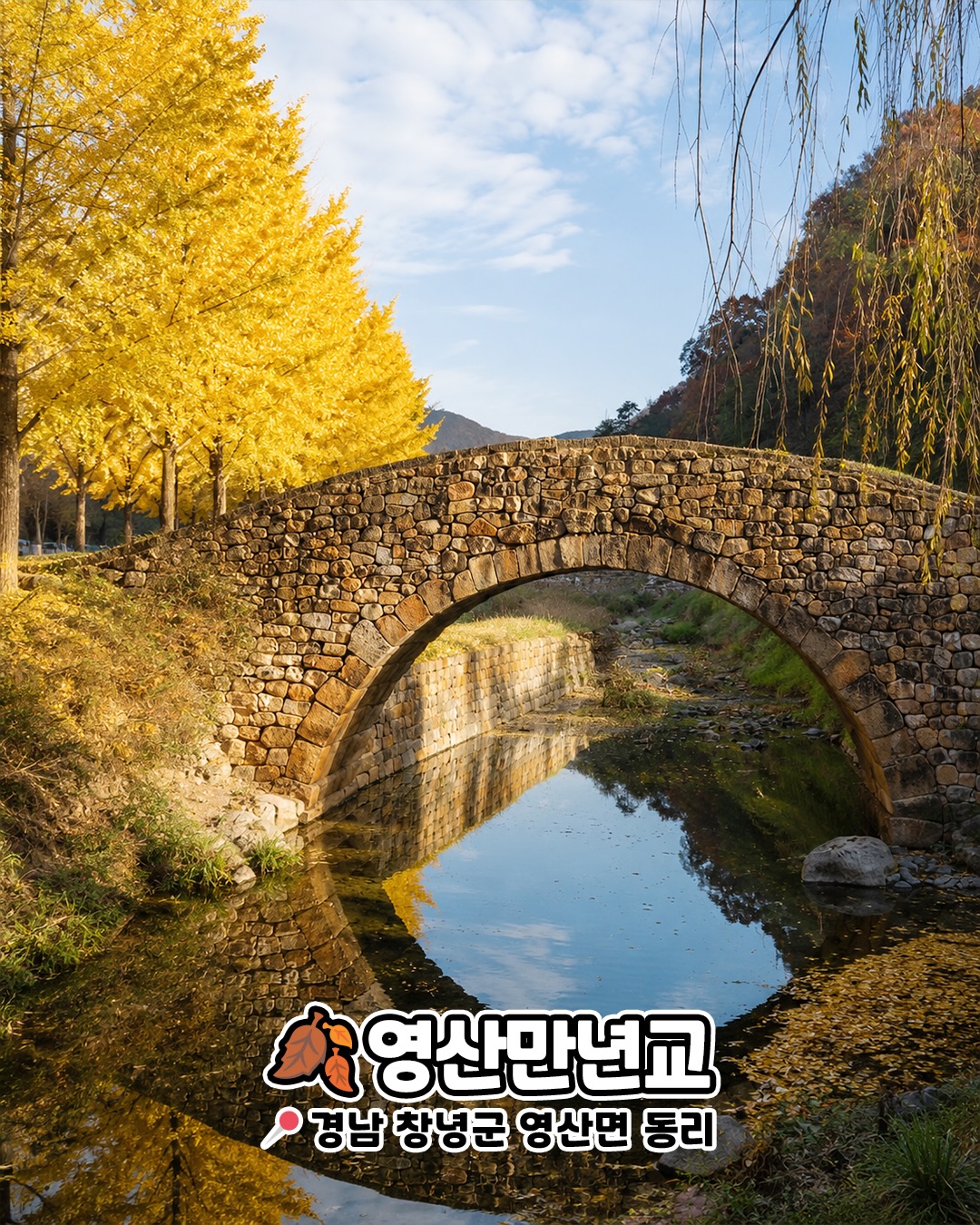 영산만년교