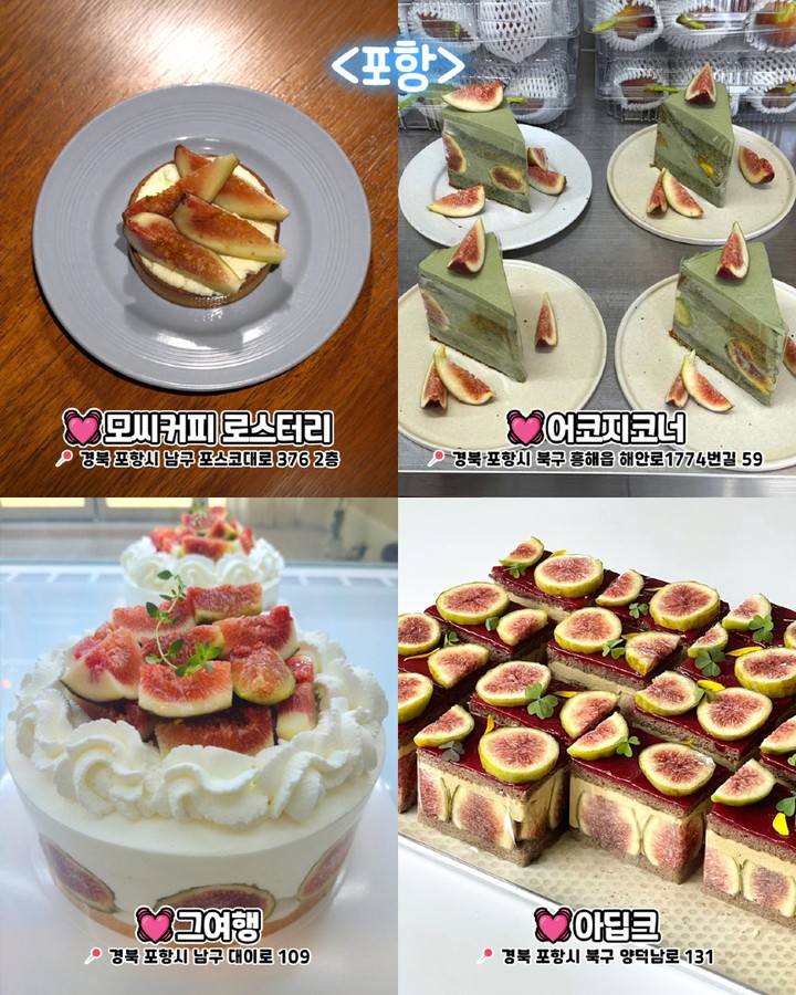 포항 무화과 디저트 카페