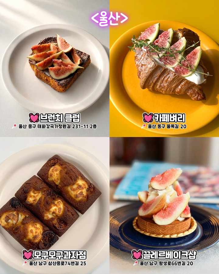 울산 무화과 디저트 카페