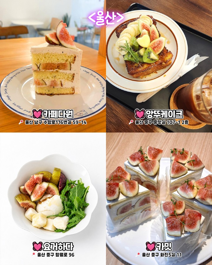 울산 무화과 디저트 카페