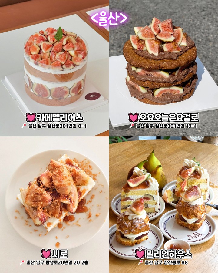 울산 무화과 디저트 카페