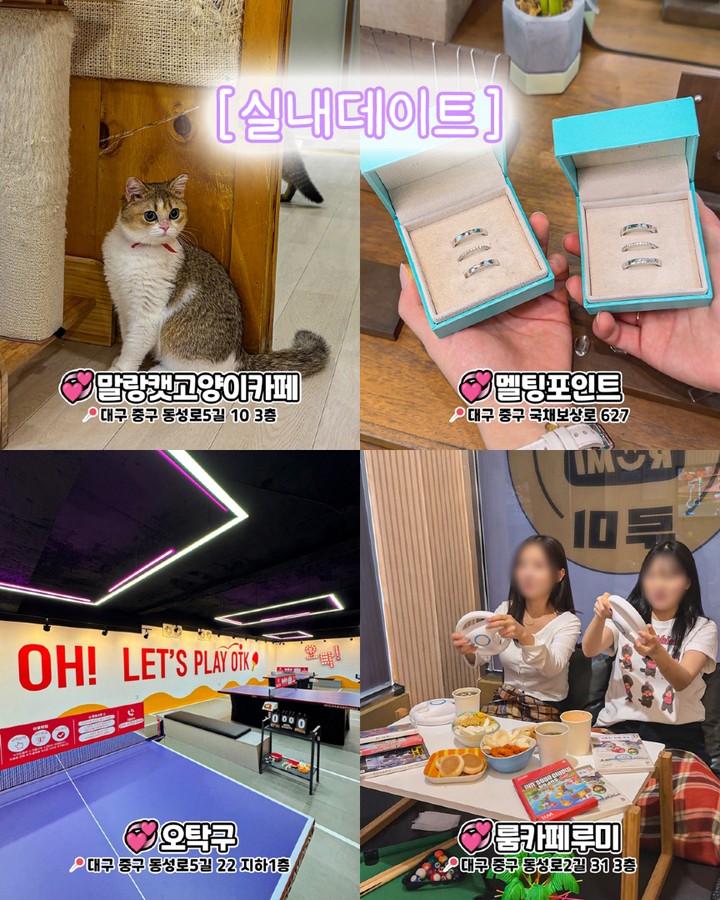 말랑캣고양이카페