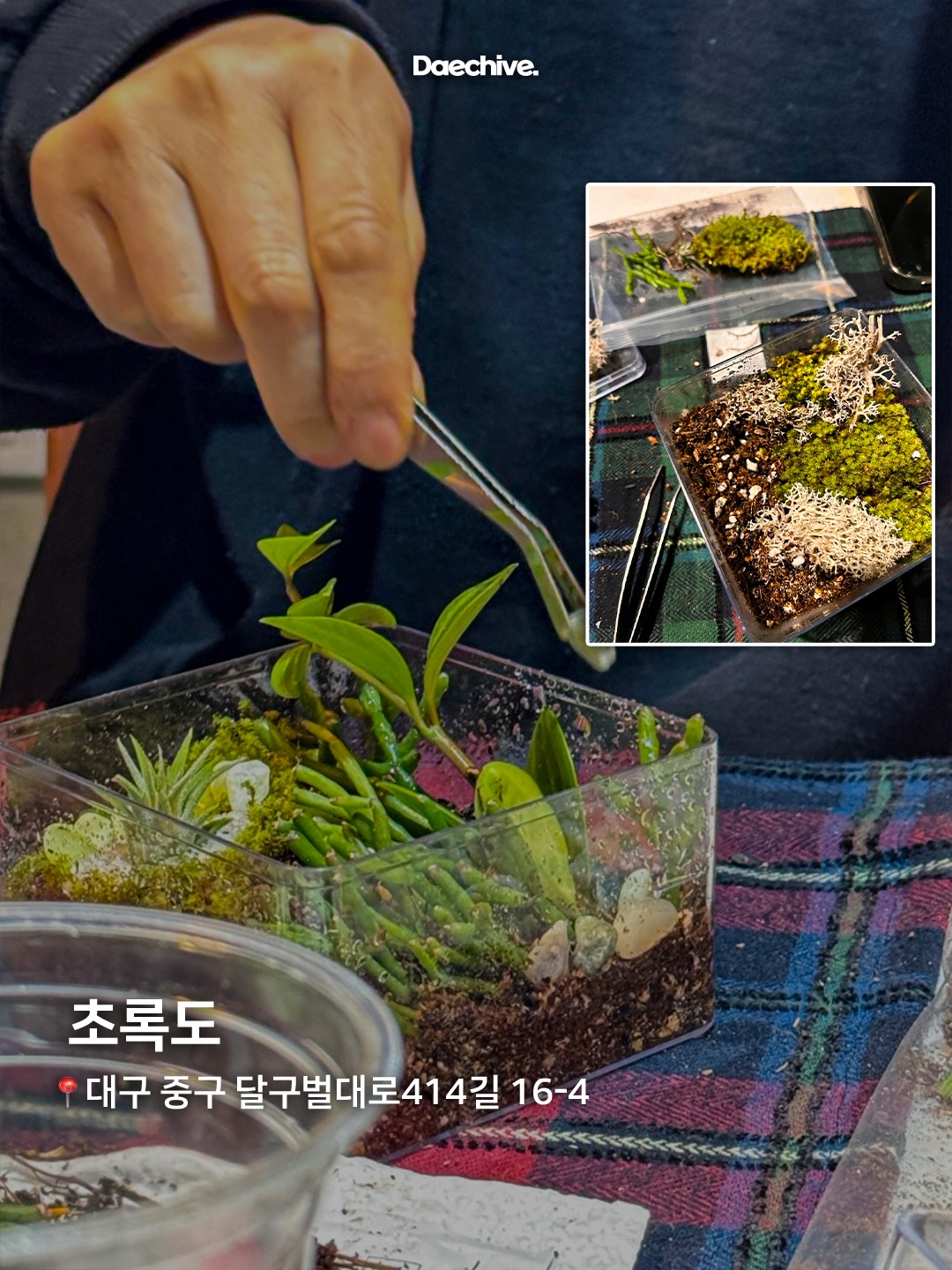 초록도