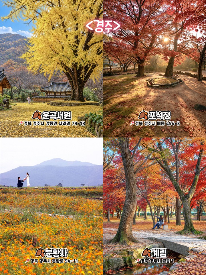 경주 가을 명소