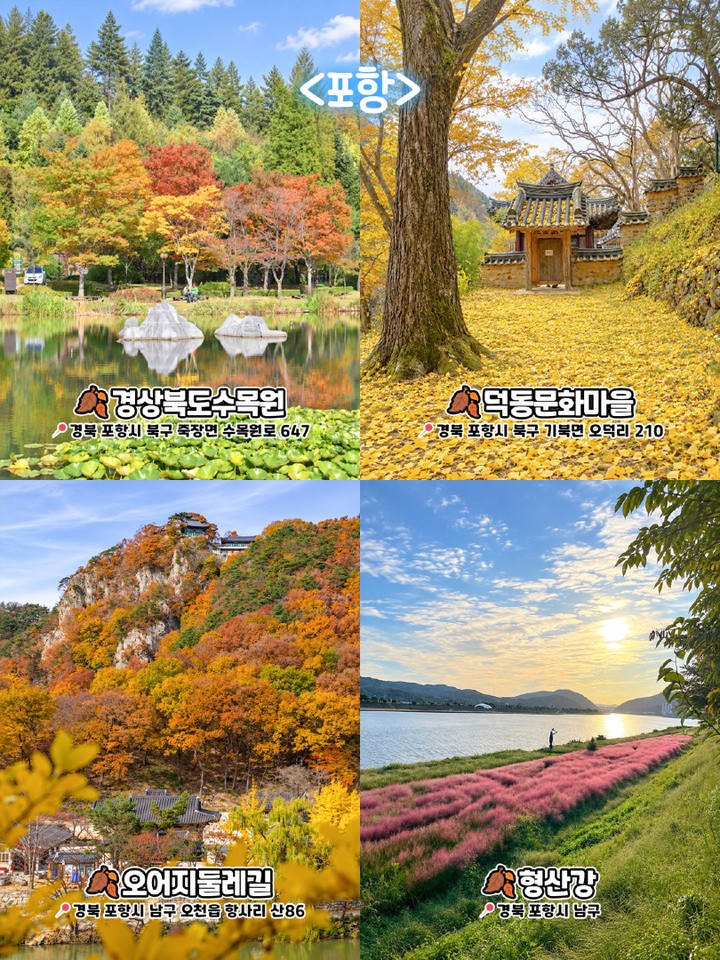포항 가을 명소