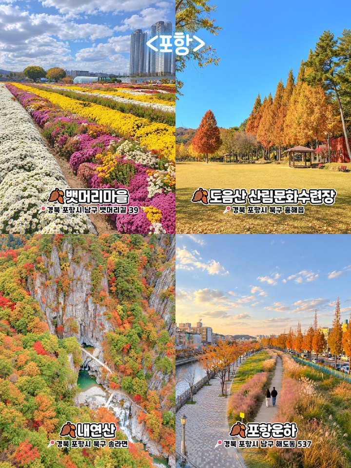 포항 가을 명소
