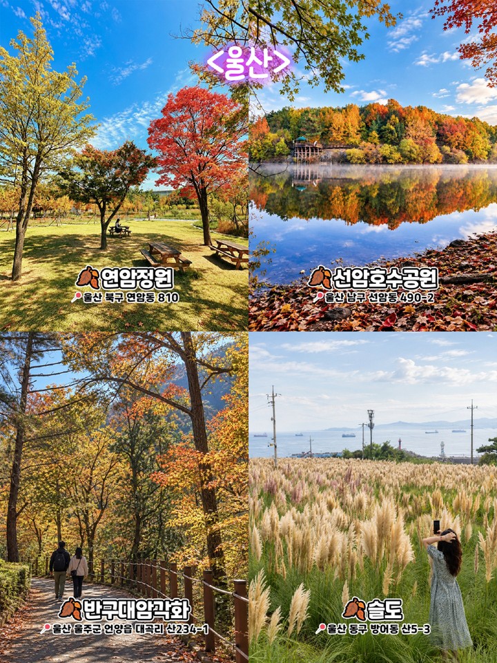 울산 가을 명소