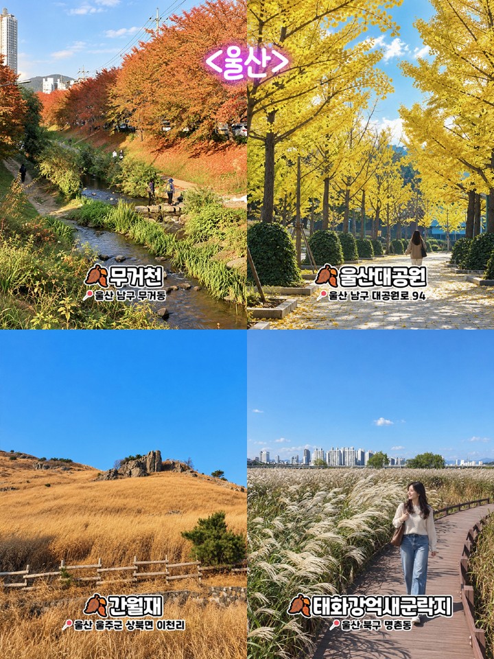 울산 가을 명소