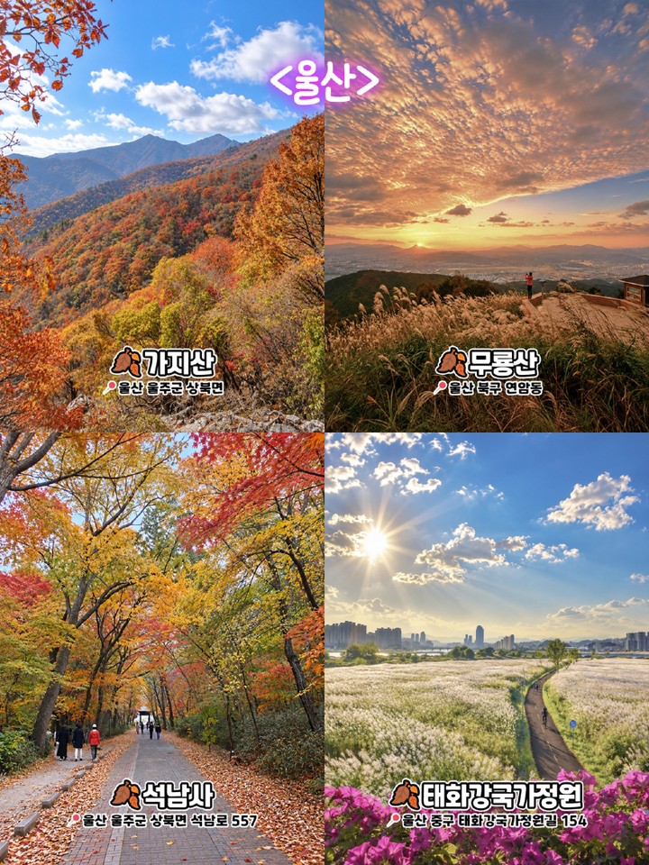 울산 가을 명소