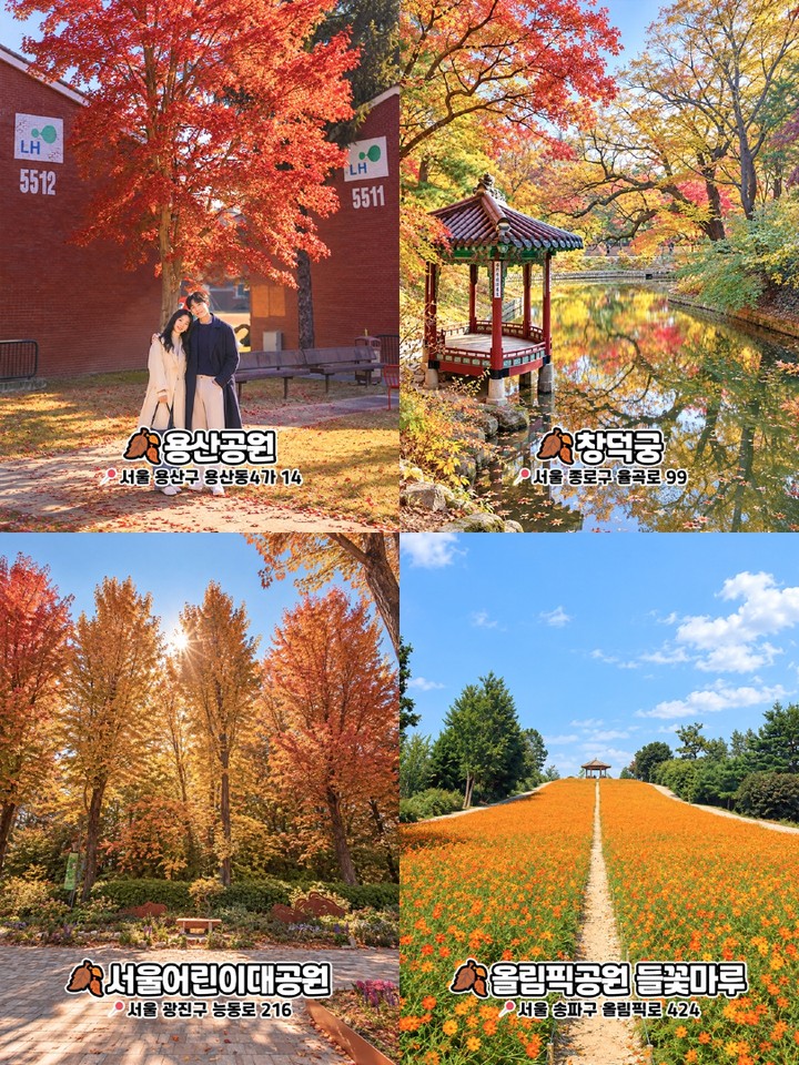 서울 가을 포토스팟