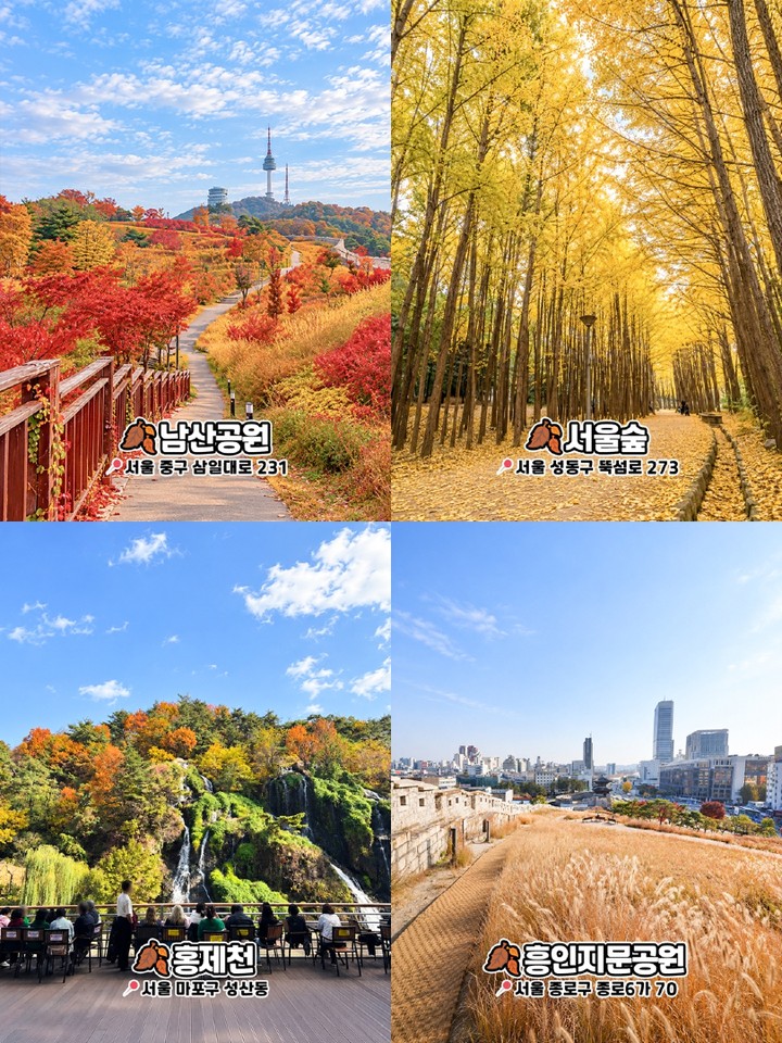 서울 가을 포토스팟