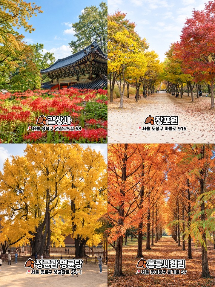 서울 가을 포토스팟