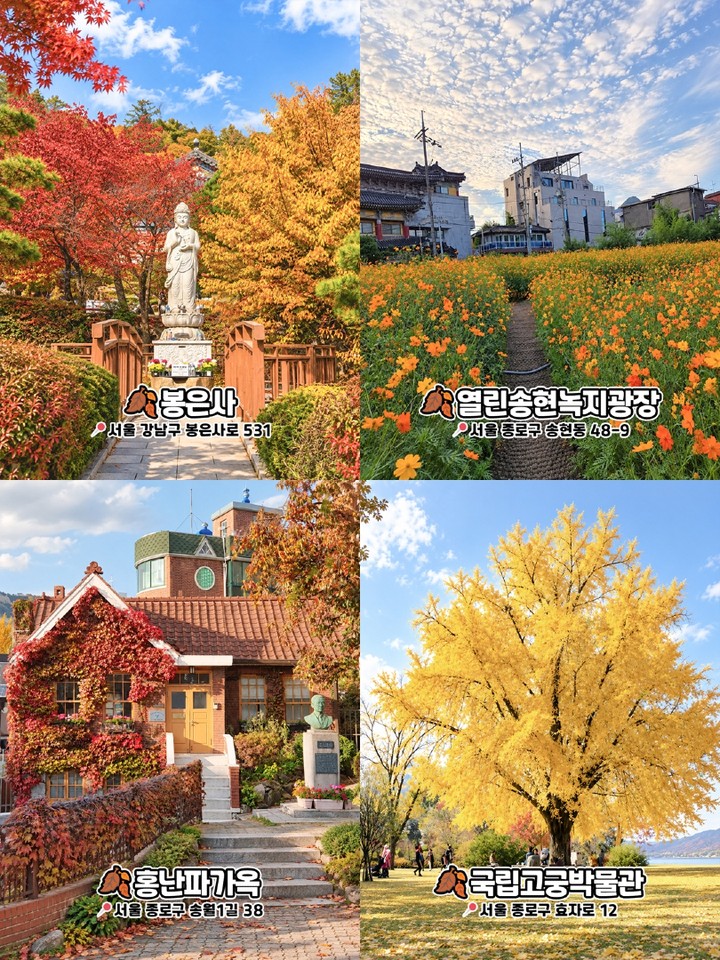 서울 가을 포토스팟
