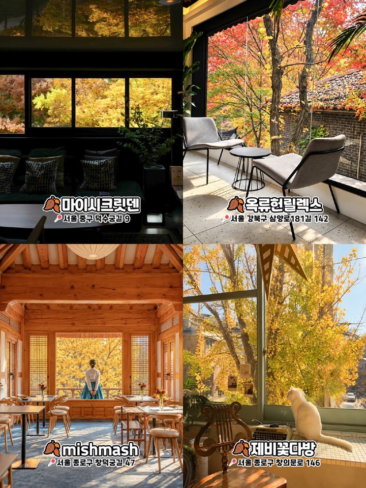 서울 가을 포토스팟