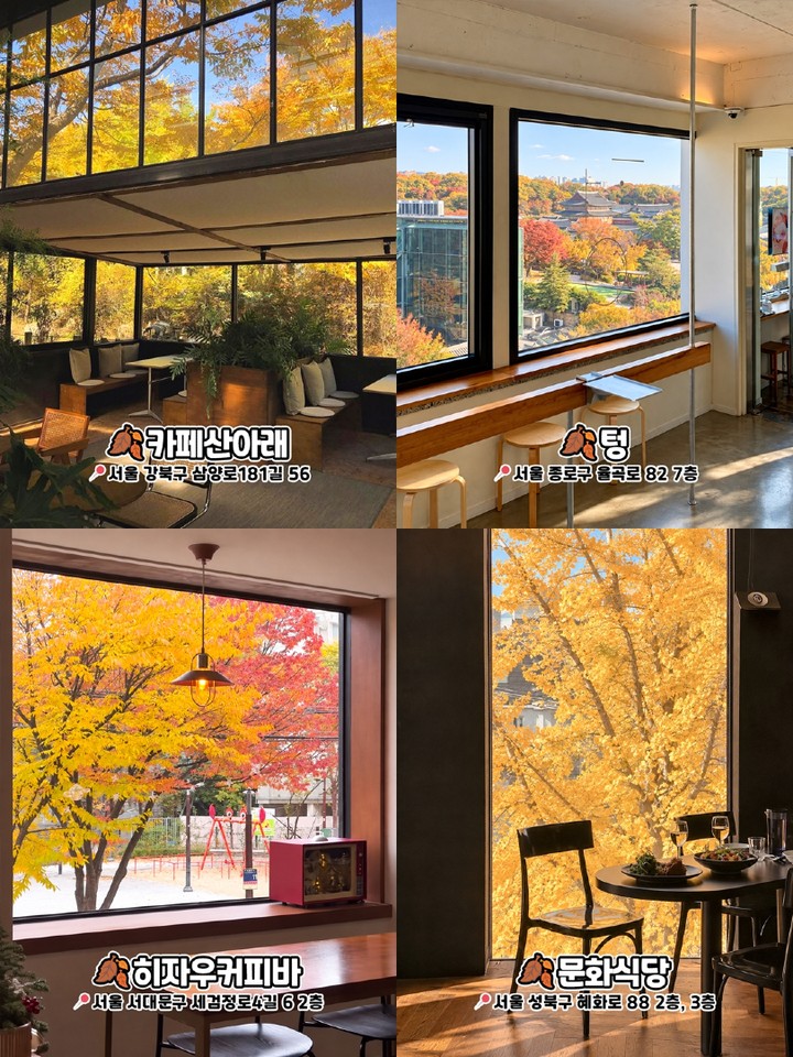 서울 가을 포토스팟