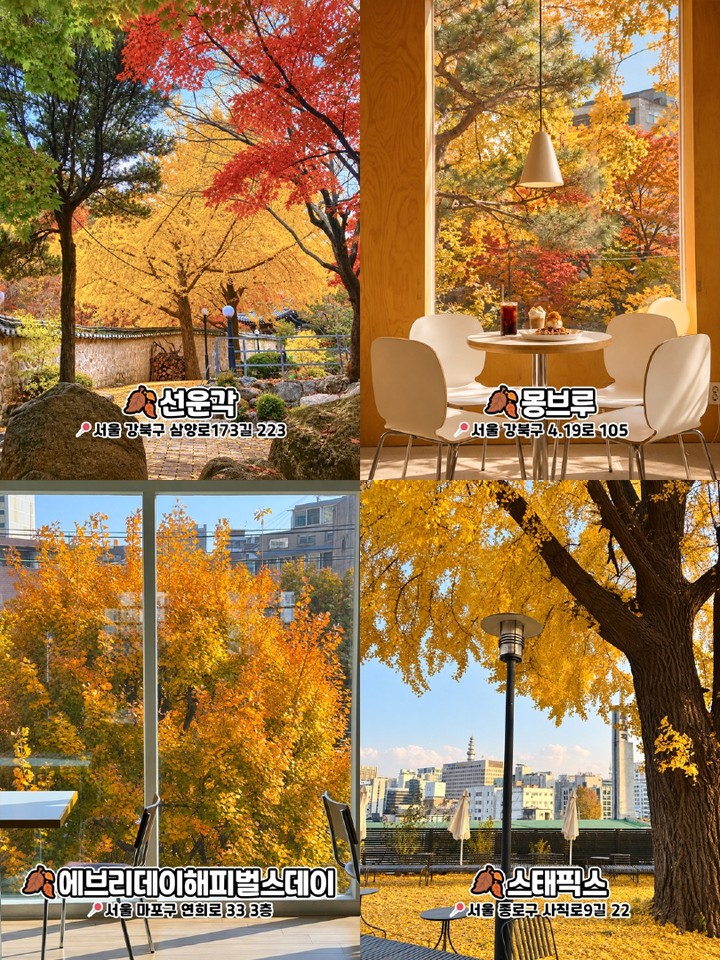 서울 가을 포토스팟