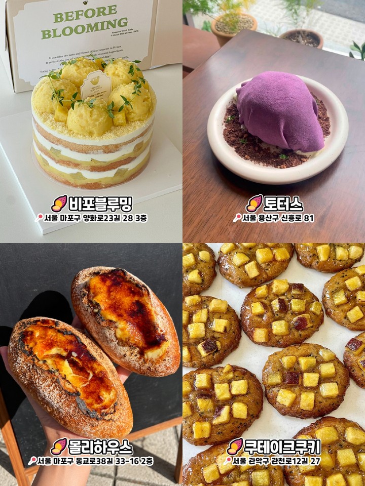 비포블루밍