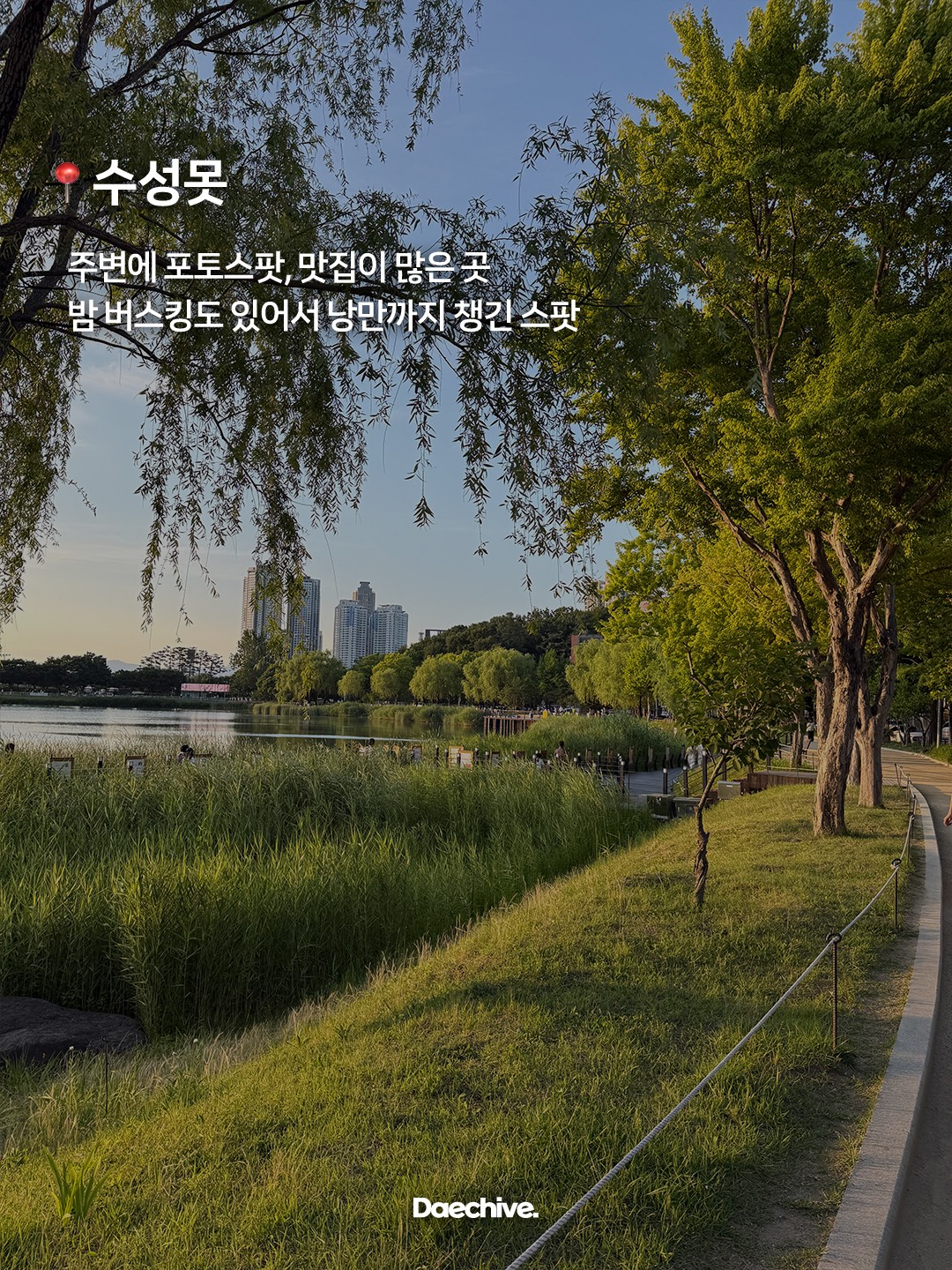 수성못 산책로와 잔디