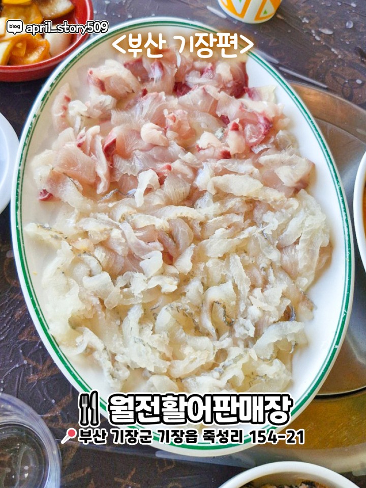 부산 또간집 맛집
