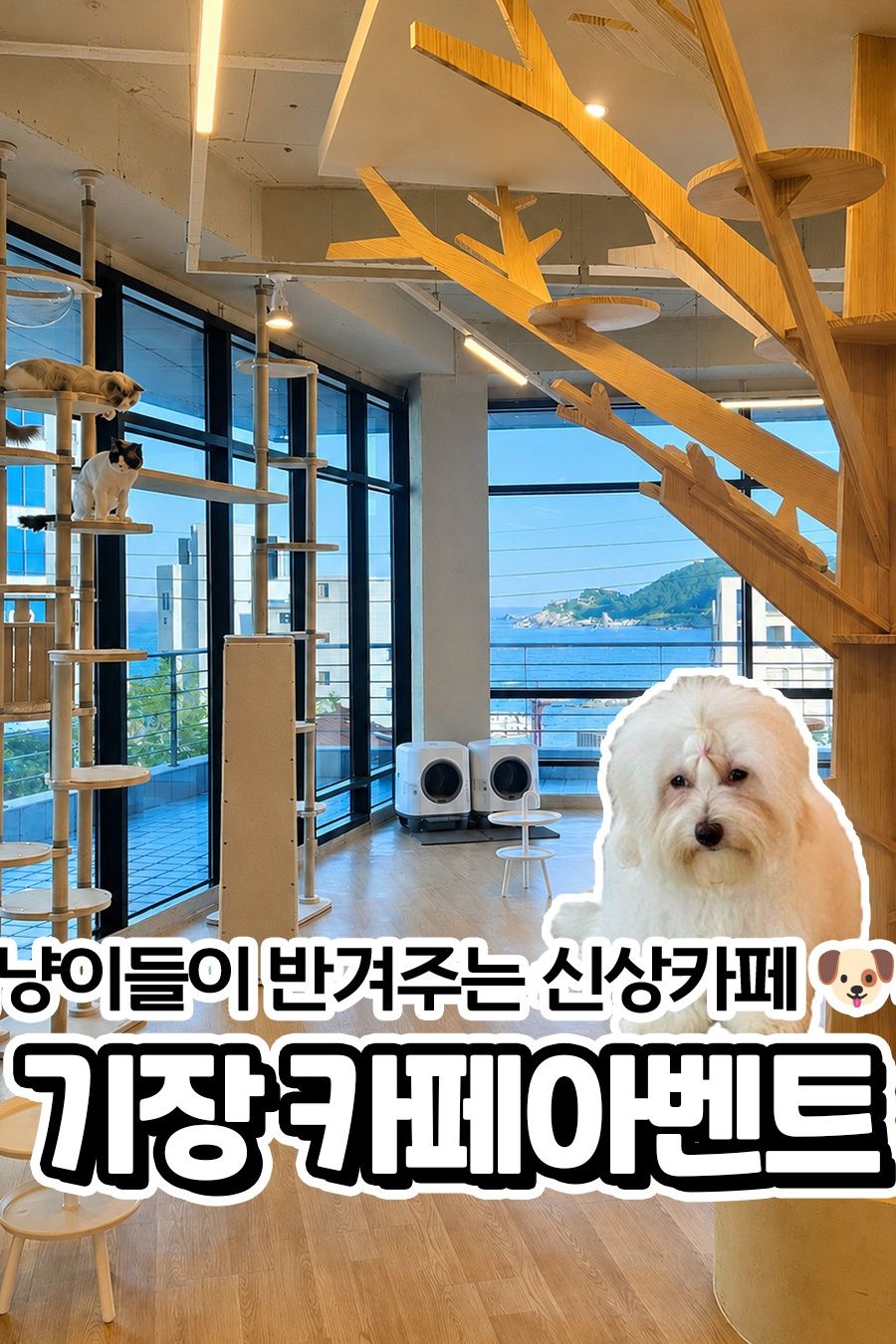 카페 아벤트 — 부산 기장군 카페/디저트