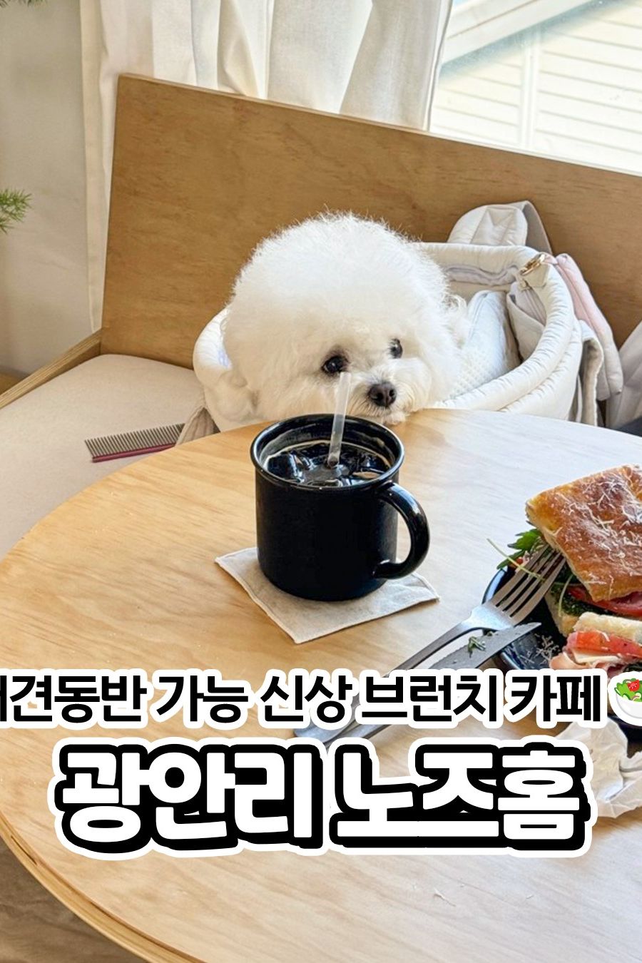 노즈홈 — 부산 수영구 양식