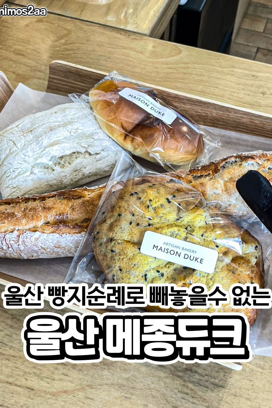 메종듀크 — 울산 중구 빵집